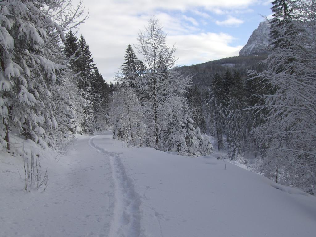 Ferienwohnung Am Roemerweg Wald Inzell Exterior foto